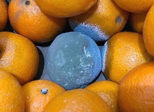 e1073ea3-6945-4165-93ed-69d5581ae434