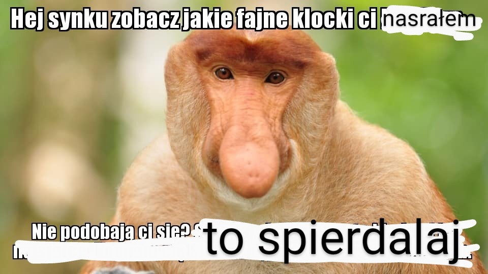 8c393db5-8e27-45ed-9a61-064508e3d8ea