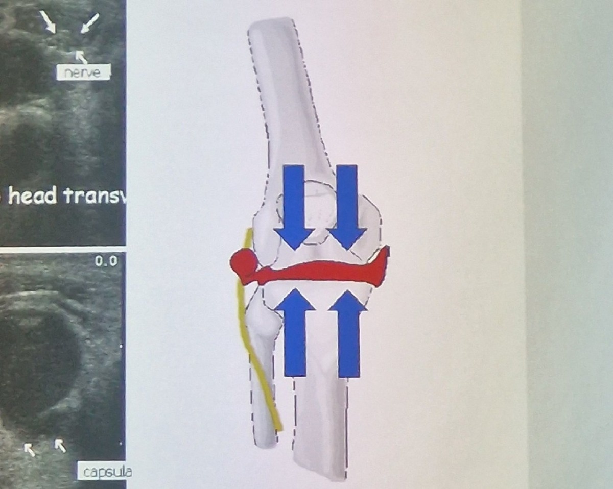 8a7e5bf9-d891-4a6a-8e7a-460969792f4e
