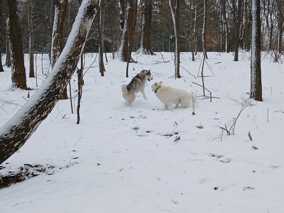 eab993c9-ffd1-4cfe-b359-6461227abef2