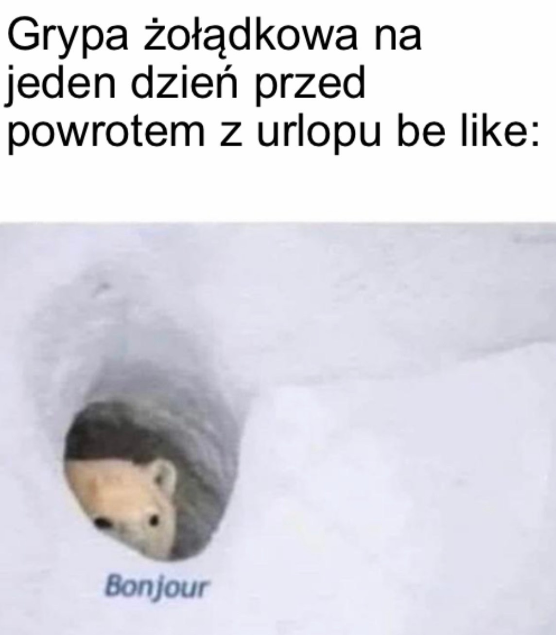 ab853813-b5a1-4155-9167-d08a31250b1a