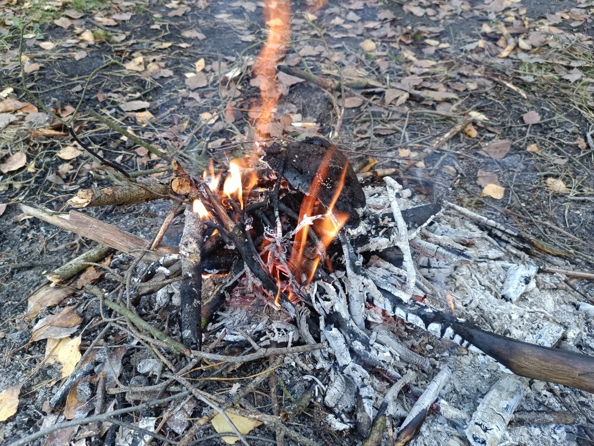 64fb229b-360c-4e8b-8e54-be1a35c8373e