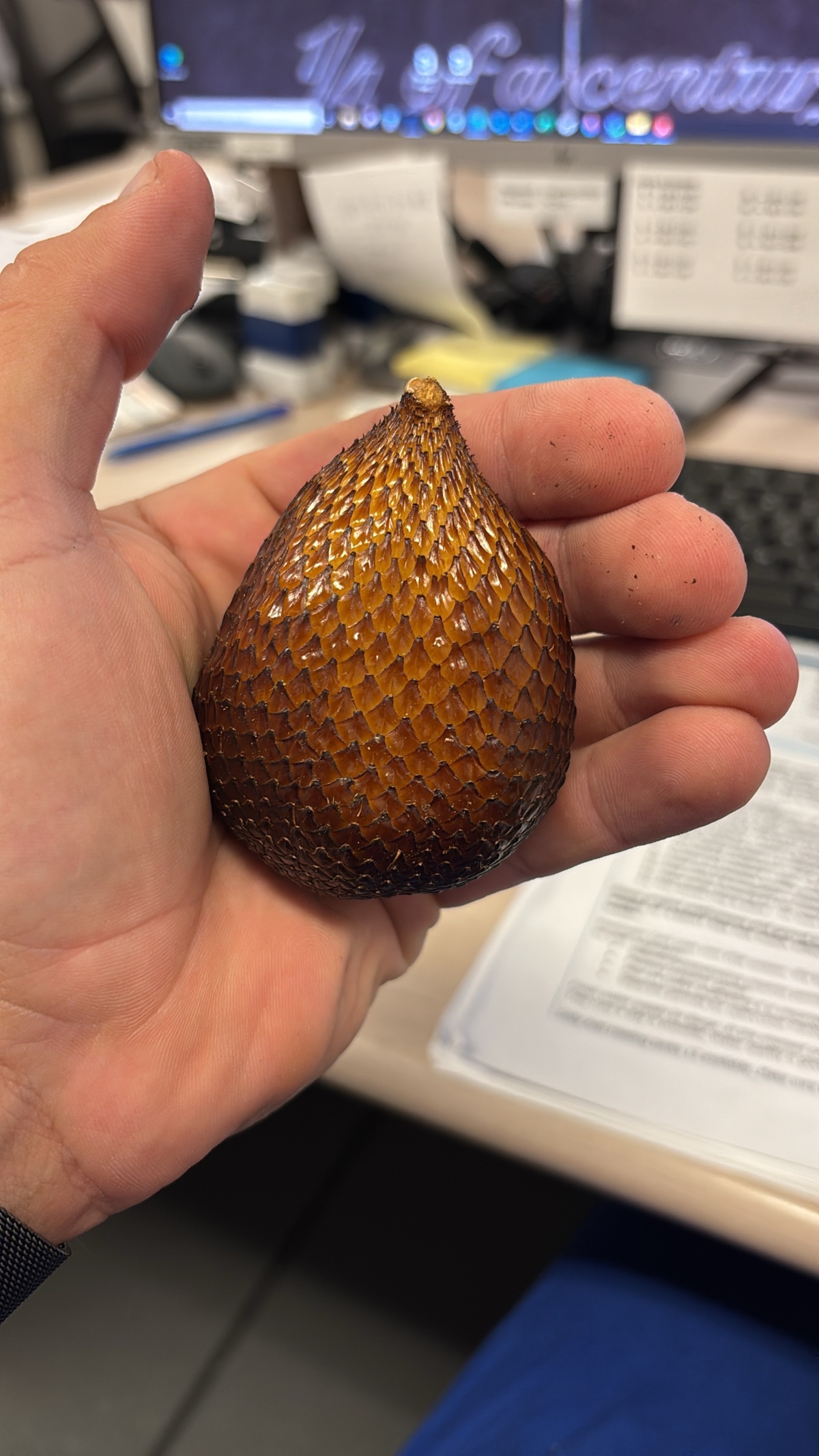 398b7822-185e-4f82-9e3b-7977304a0059