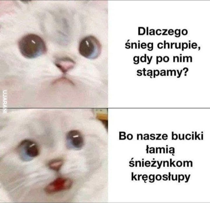 5320079e-5e72-45de-a6c2-9a169c29e2be