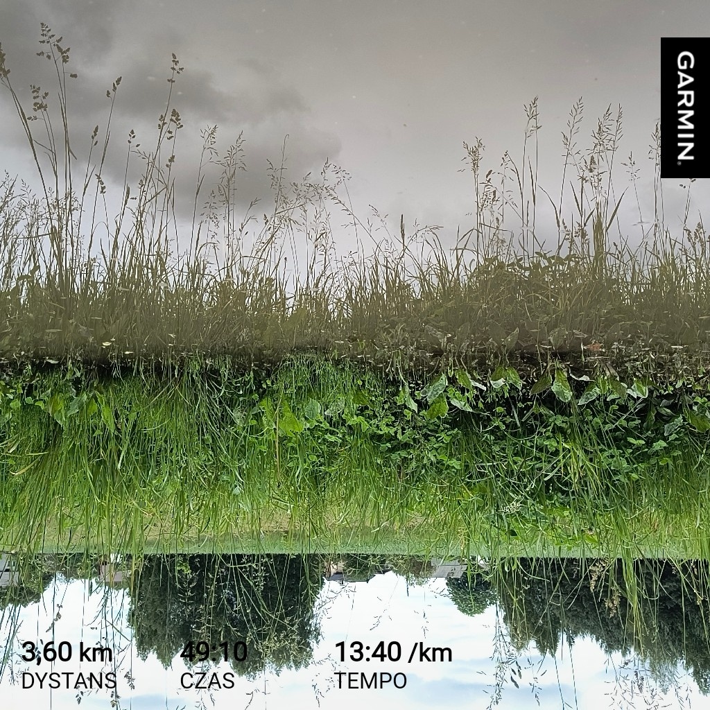 b51e20f8-f3bb-4b48-ad21-78c9c91050f7