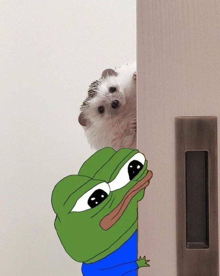 ebc24f2d-c4cc-48d2-891e-6b7c85a5e9d6