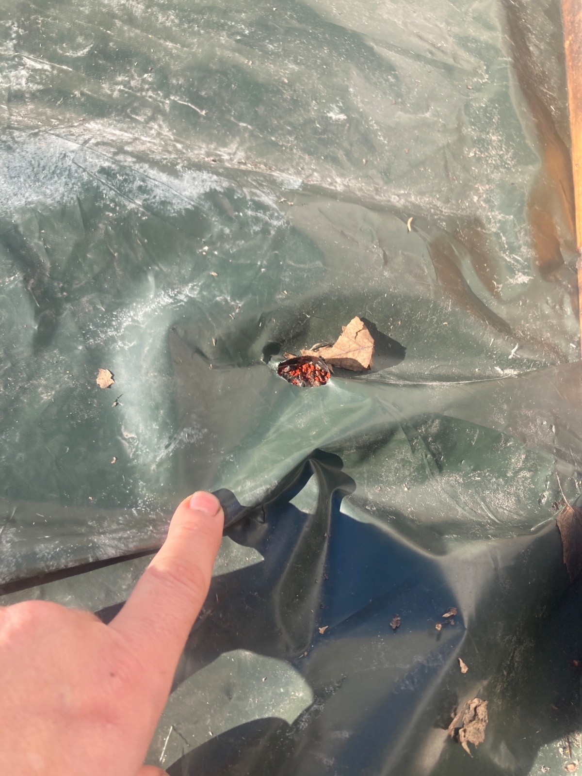 3b7440e2-4e64-4339-b591-4b300cd18d2b