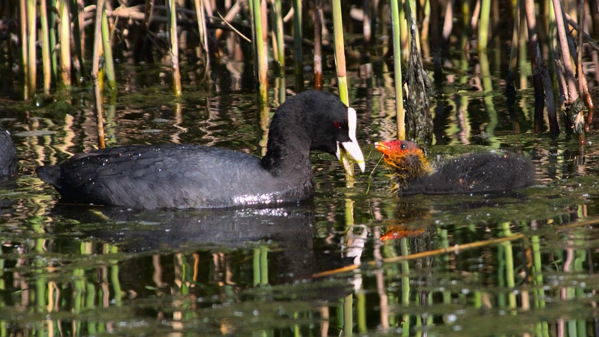 9b10387e-531e-4eac-a5da-af7acdaebc2d