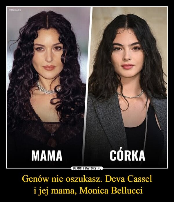 9e147f87-c776-42fb-baa4-cba9f4985319