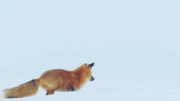 b6ee7da7-4756-4339-9d59-e9b95444841c