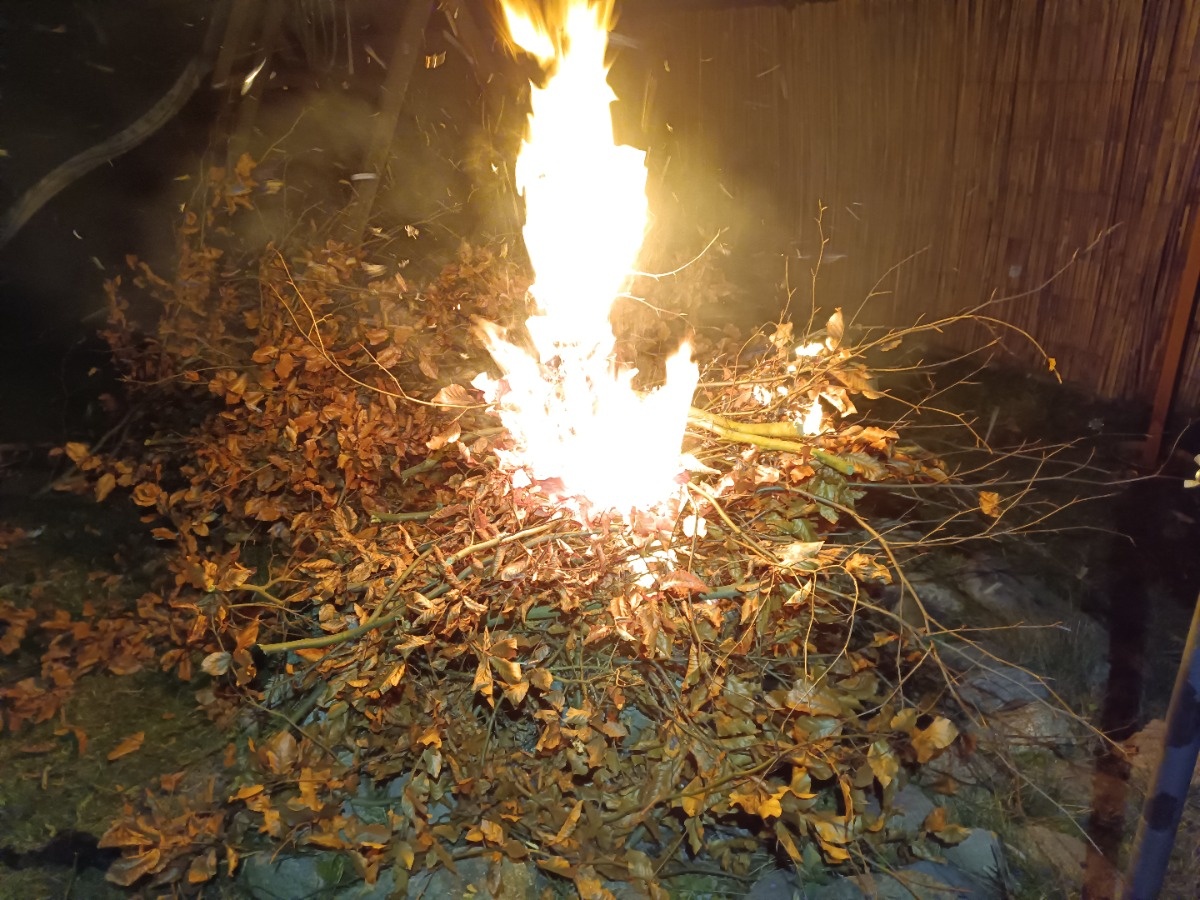 d76d247f-dab5-4c77-955d-aadca4bdb66c