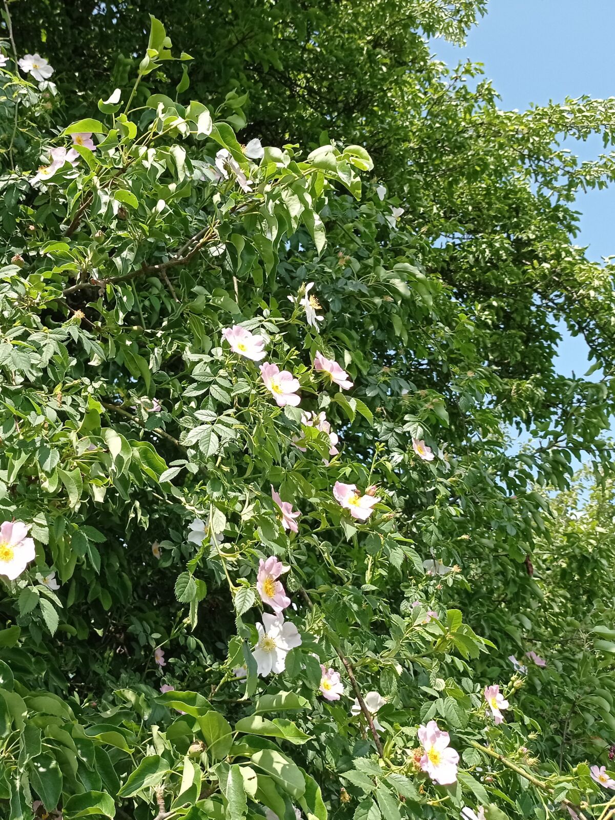 c101d43d-ae5d-4f82-9ebf-a5435d08c982