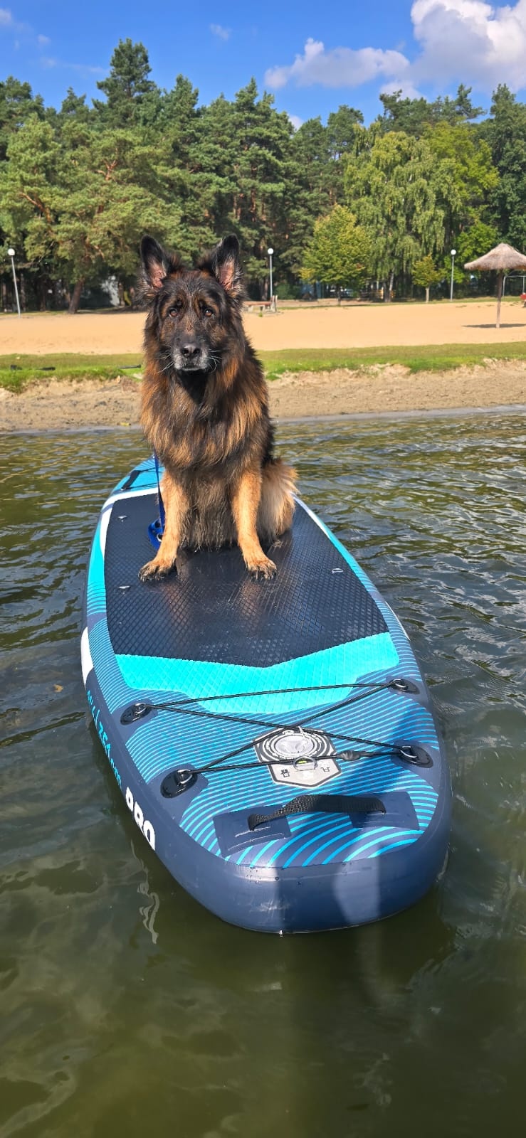 dc685eed-ad11-42ee-b61f-7c0179518351