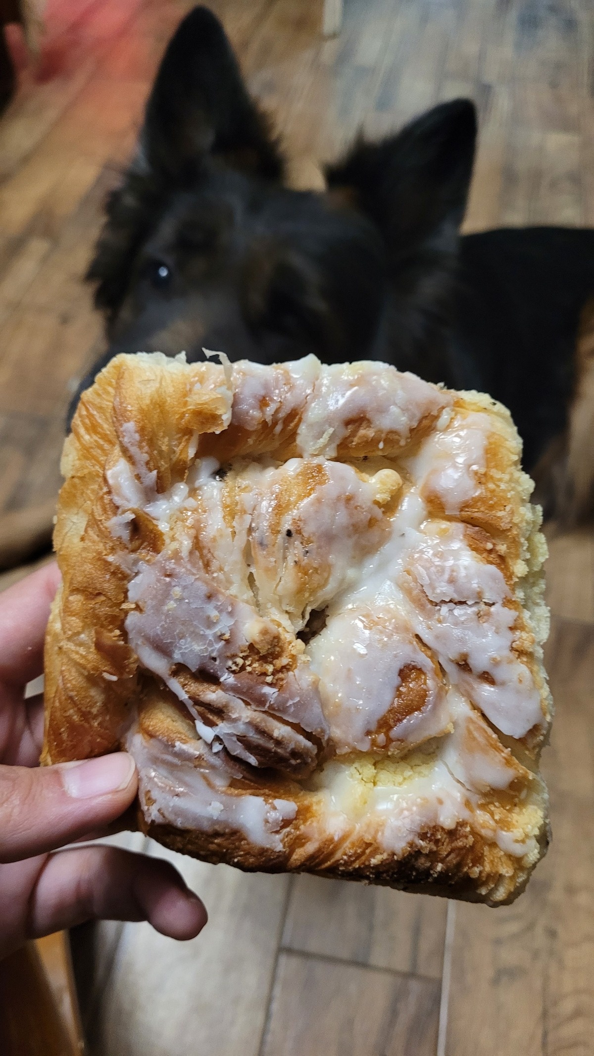 e06aed91-f613-4c47-8ec1-915cd289475d