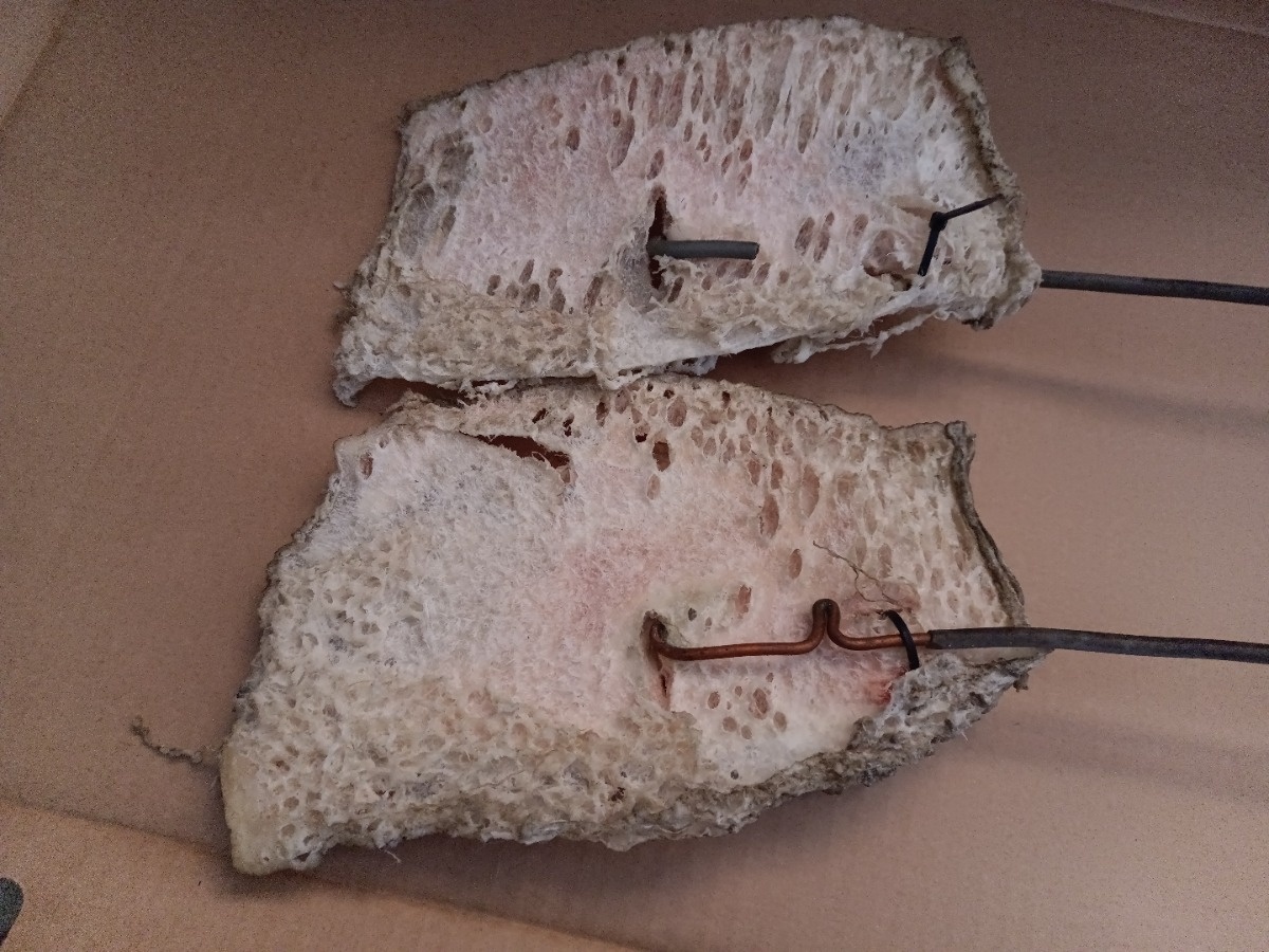 3374631e-0f88-45f0-a46a-503acdc75b8c