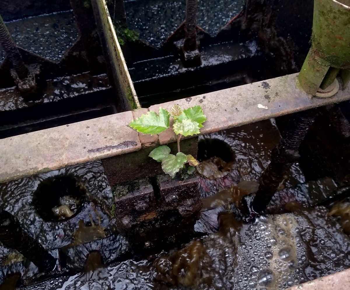 02731b62-7473-4298-b3ff-203325cc9858