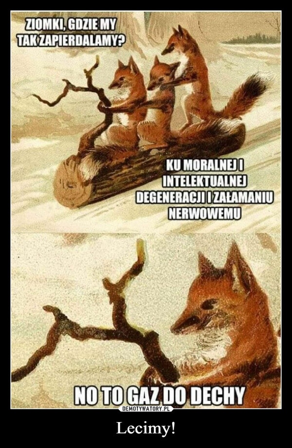 10d07329-1b84-40ae-b318-e5174c26bd95