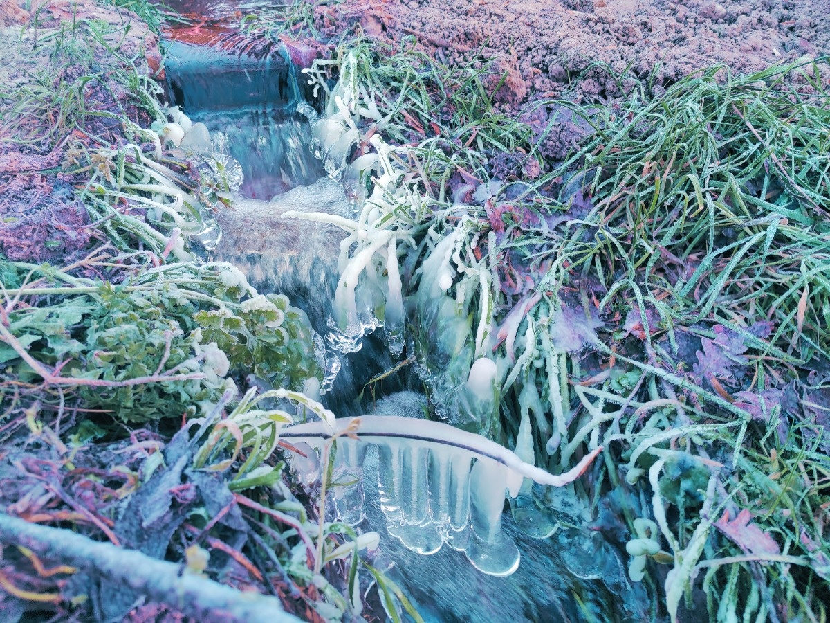 31a3cd4f-8bc2-45c6-a160-55d40a7895eb