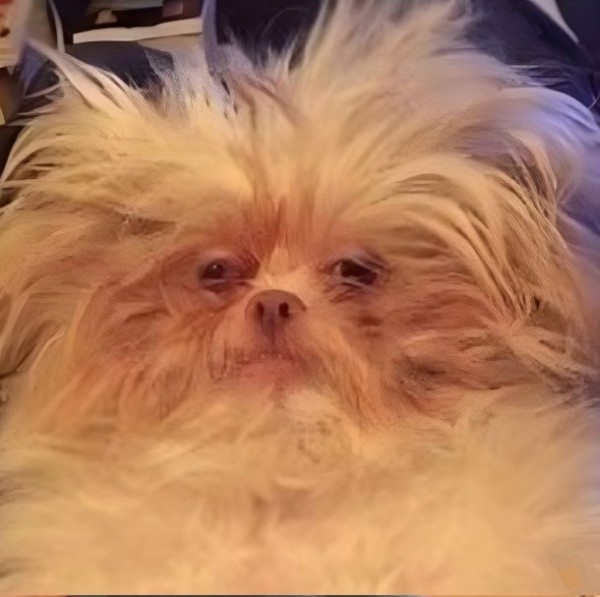 7711e722-1509-4948-a6a1-955cc82050fe