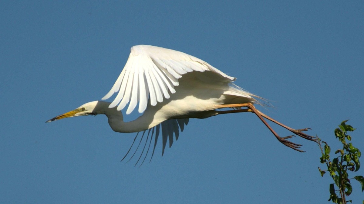 59b8553c-5963-4eb5-bd1e-08d5a8889e3f