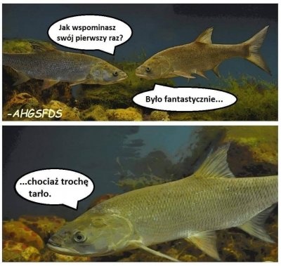 8829777b-3708-4a8b-b7d3-1c7de0d80073