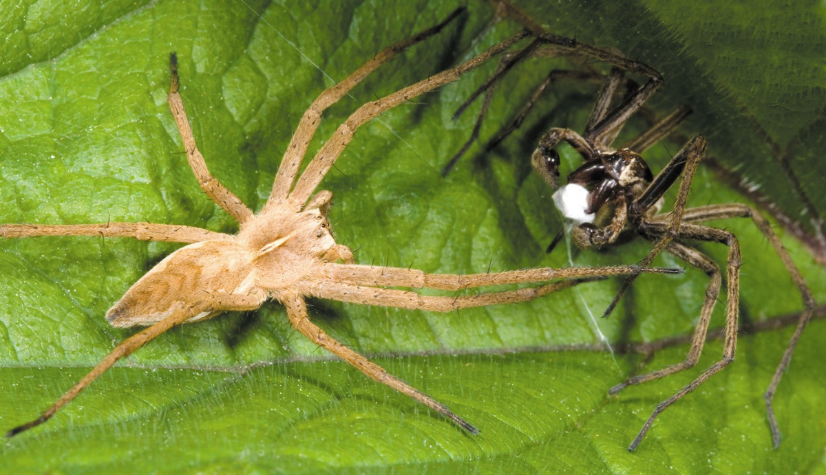 23195d3b-dc76-402b-ba4a-d0af57032bea