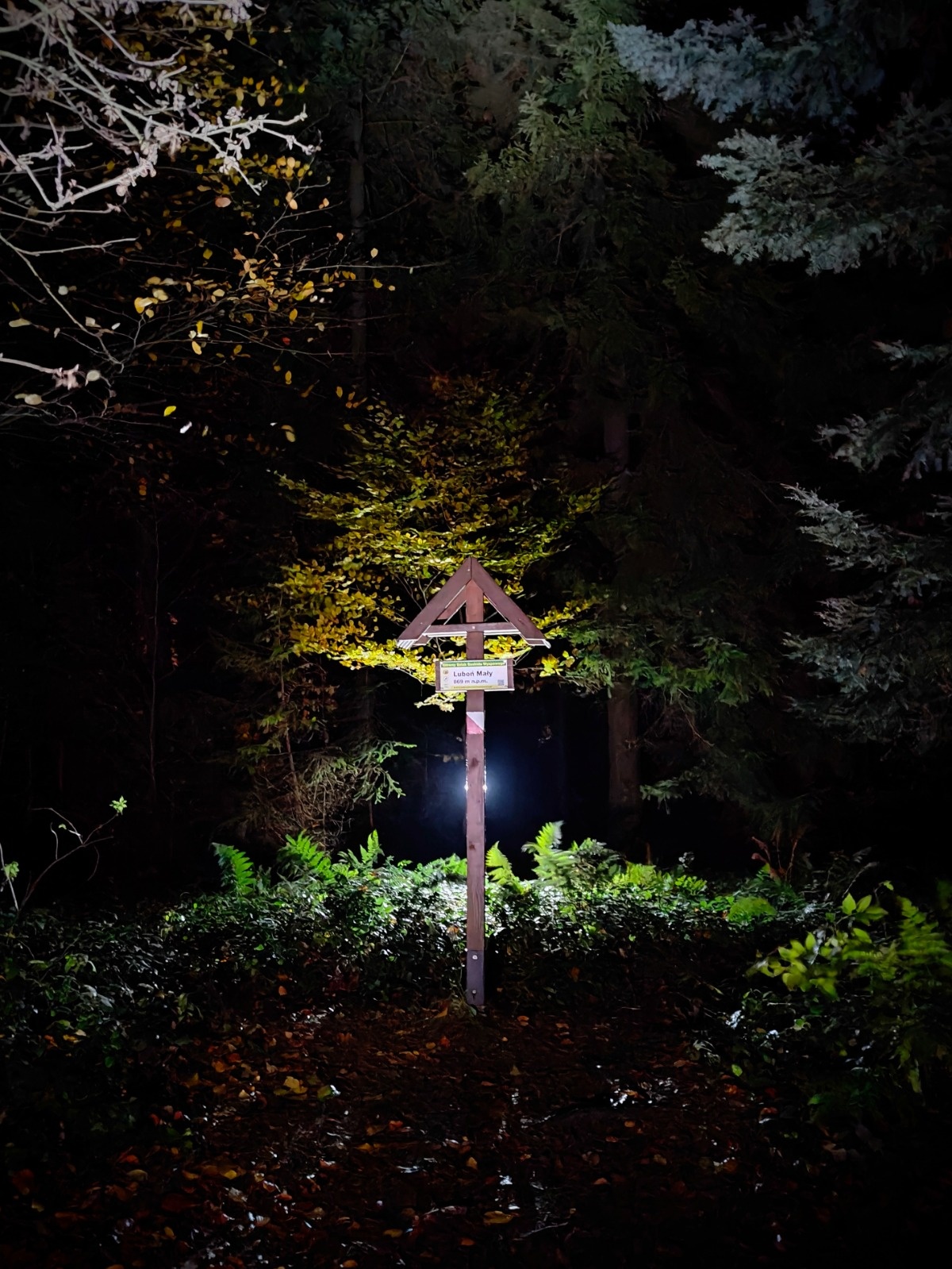 c6a92bf8-cf50-45ff-be15-828564a6bde7