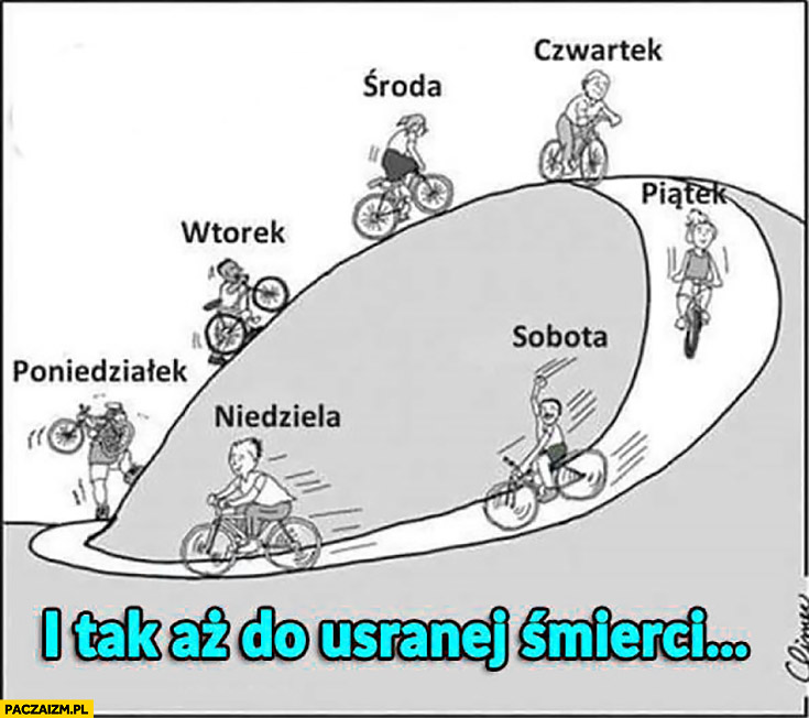 e3bb8a82-dc28-419e-a4a8-15744bc652b9