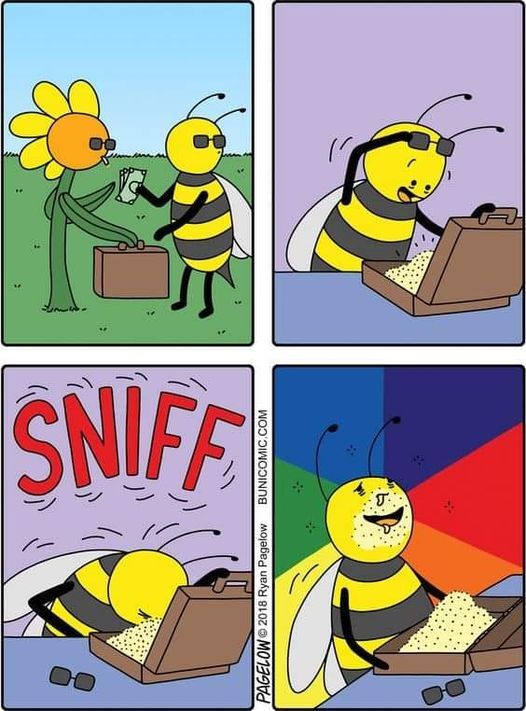 1ede5cbe-7db0-4846-9f7d-e4eda127762b