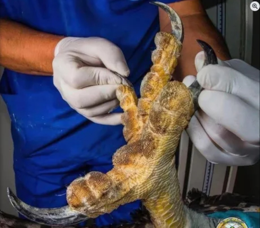 67976d22-8adf-45ba-8944-e91c62205c8b