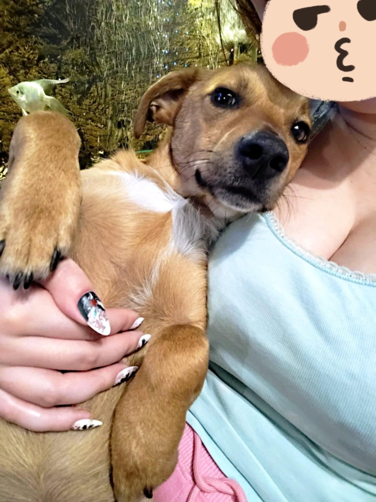 a5cbcc47-b085-406b-ae98-5a80e930522c