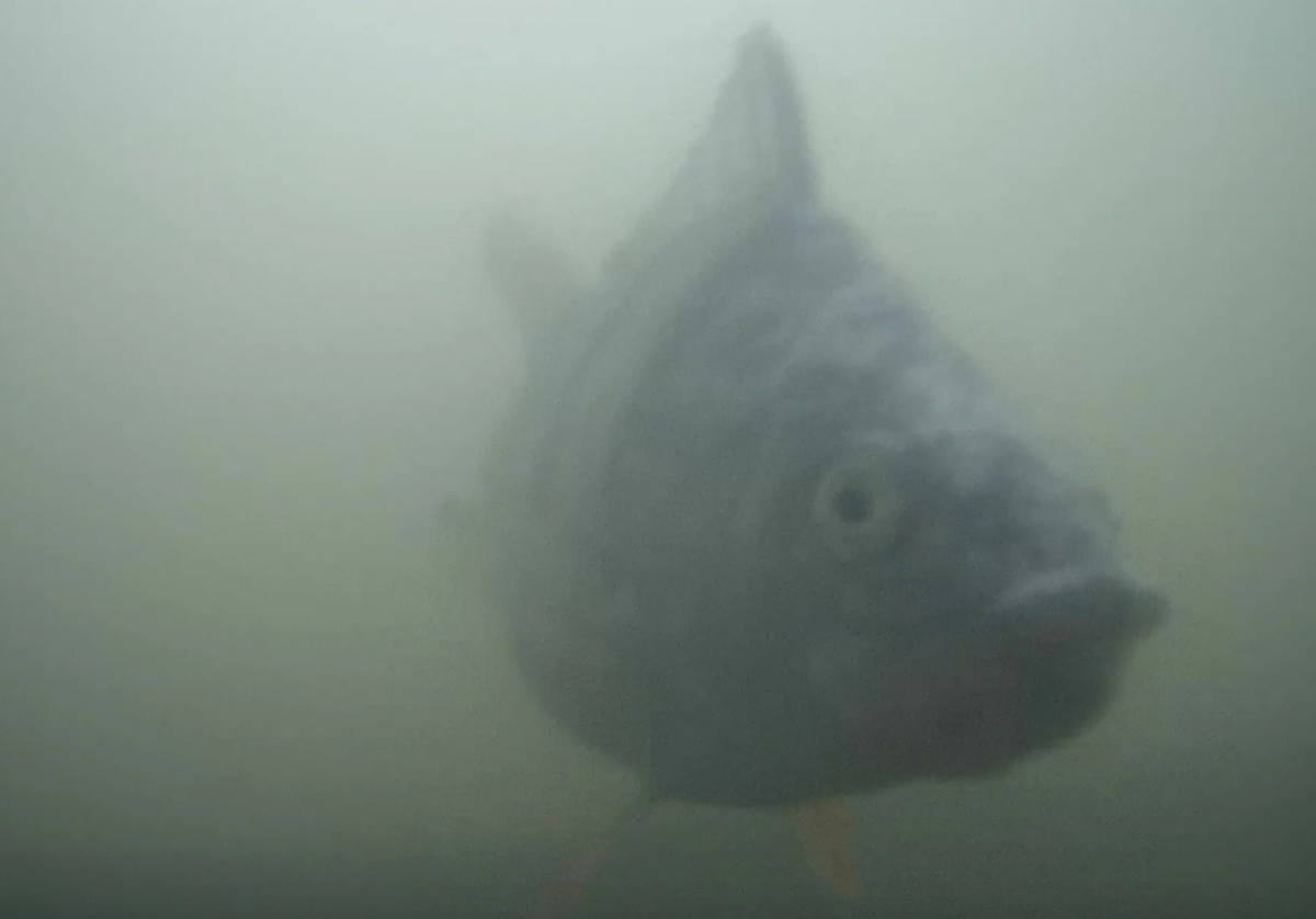 a32c2fa9-2610-49b3-9357-0c51f1fc4186