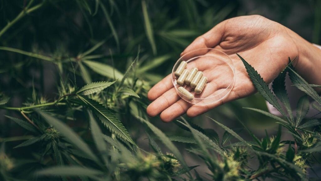 CBD Pomocne w Leczeniu Dolegliwości Związanych z Menopauzą