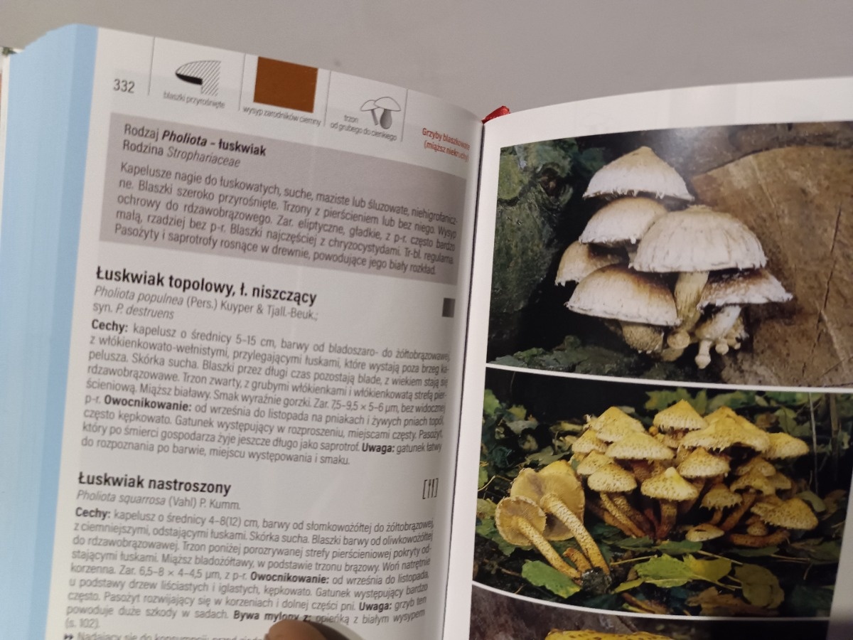 1010a511-58ae-4581-b6f7-390b8d81420d