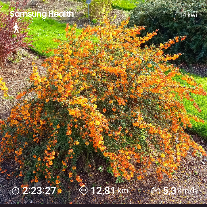 900c7aaa-2654-4f63-913d-f418f677b877