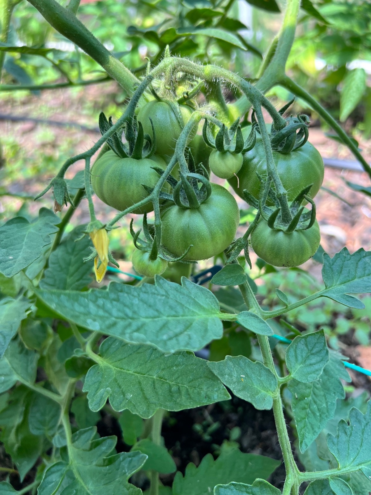 3d739bd7-ba51-4c93-8afa-b13a2f4917f9