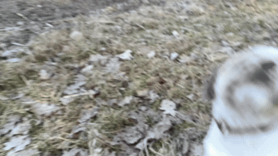 c32e8f4f-1b45-4e96-9957-b7c2b3cb6538