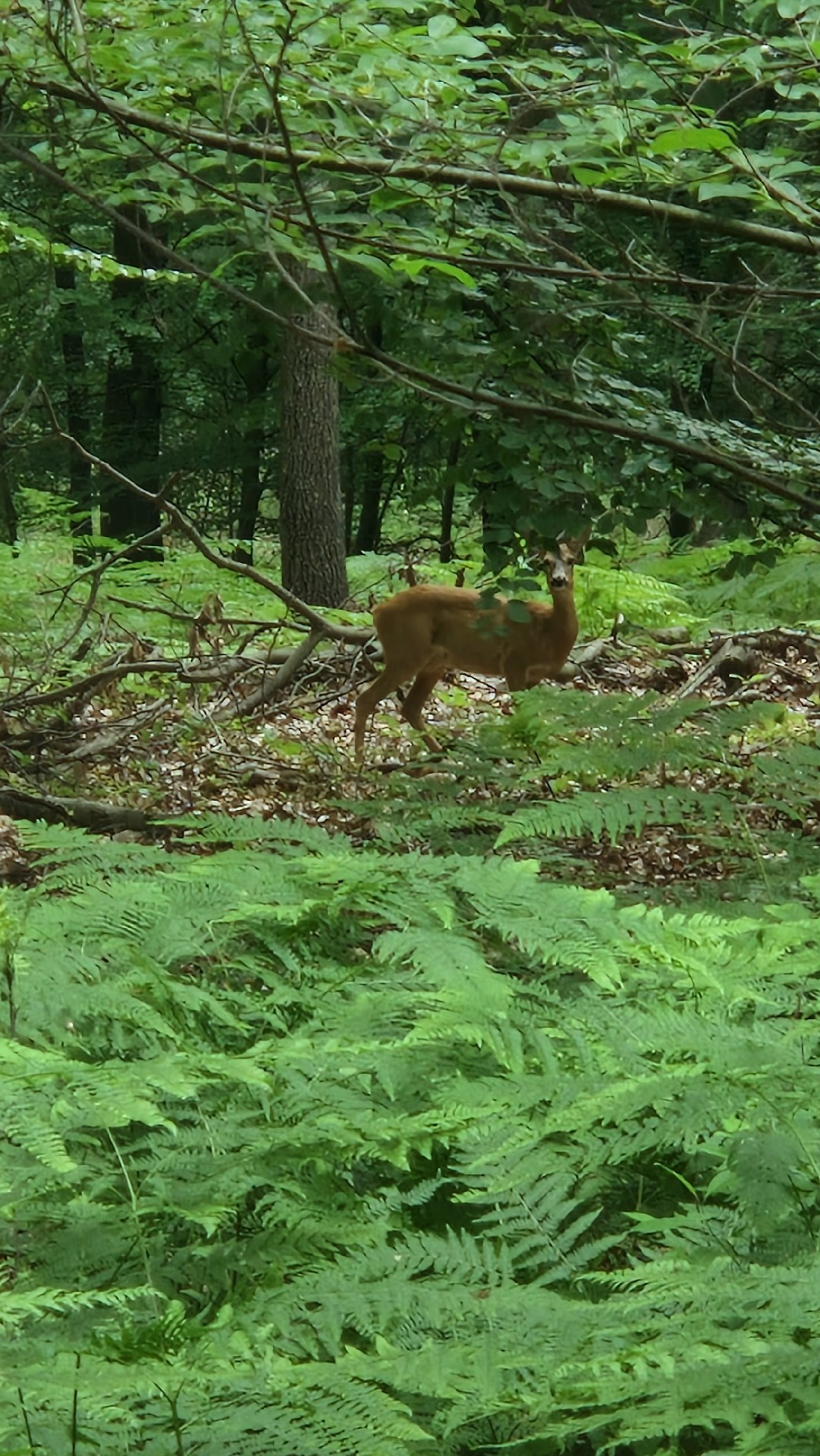 6e93ff5e-d246-44c0-837e-43d44f46bf8a