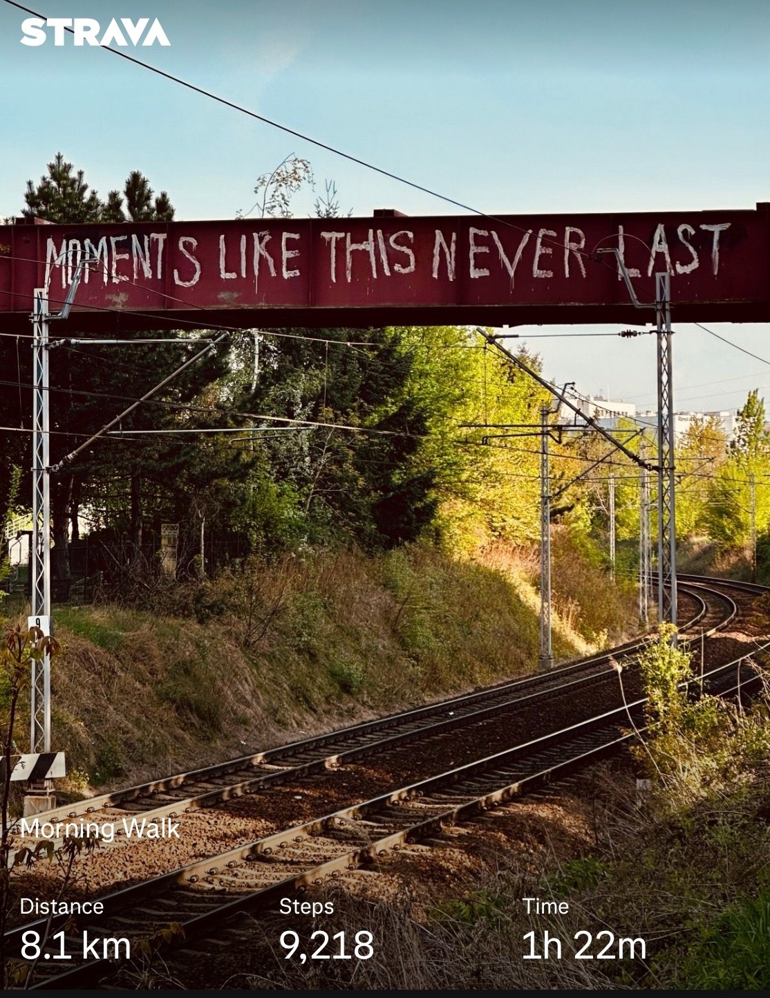 111defac-b79b-4f01-8ada-d93e36fd232b