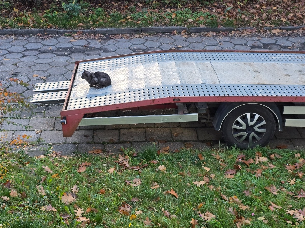 1600ebec-b81f-4c62-b6ea-a5b62c65169c