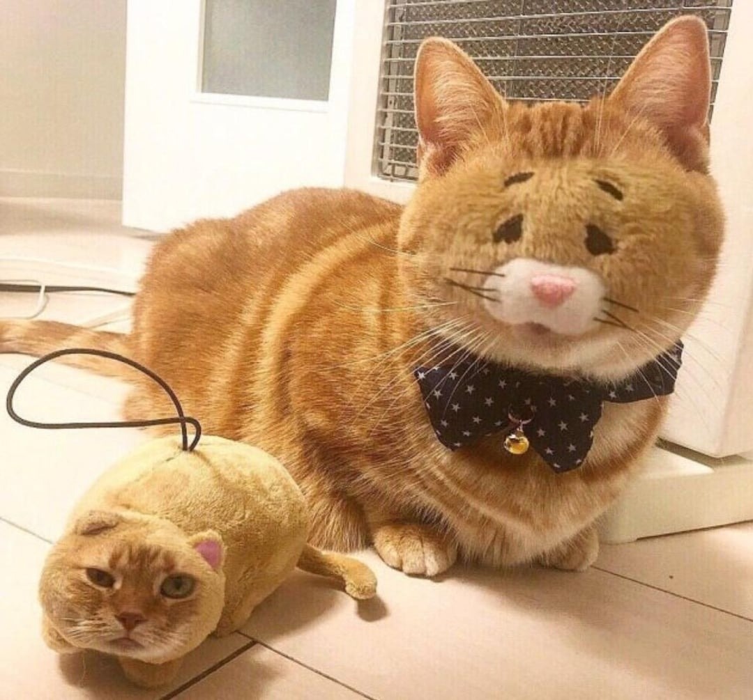 2941ef66-c9d5-4727-a245-f5e9827f3f0d