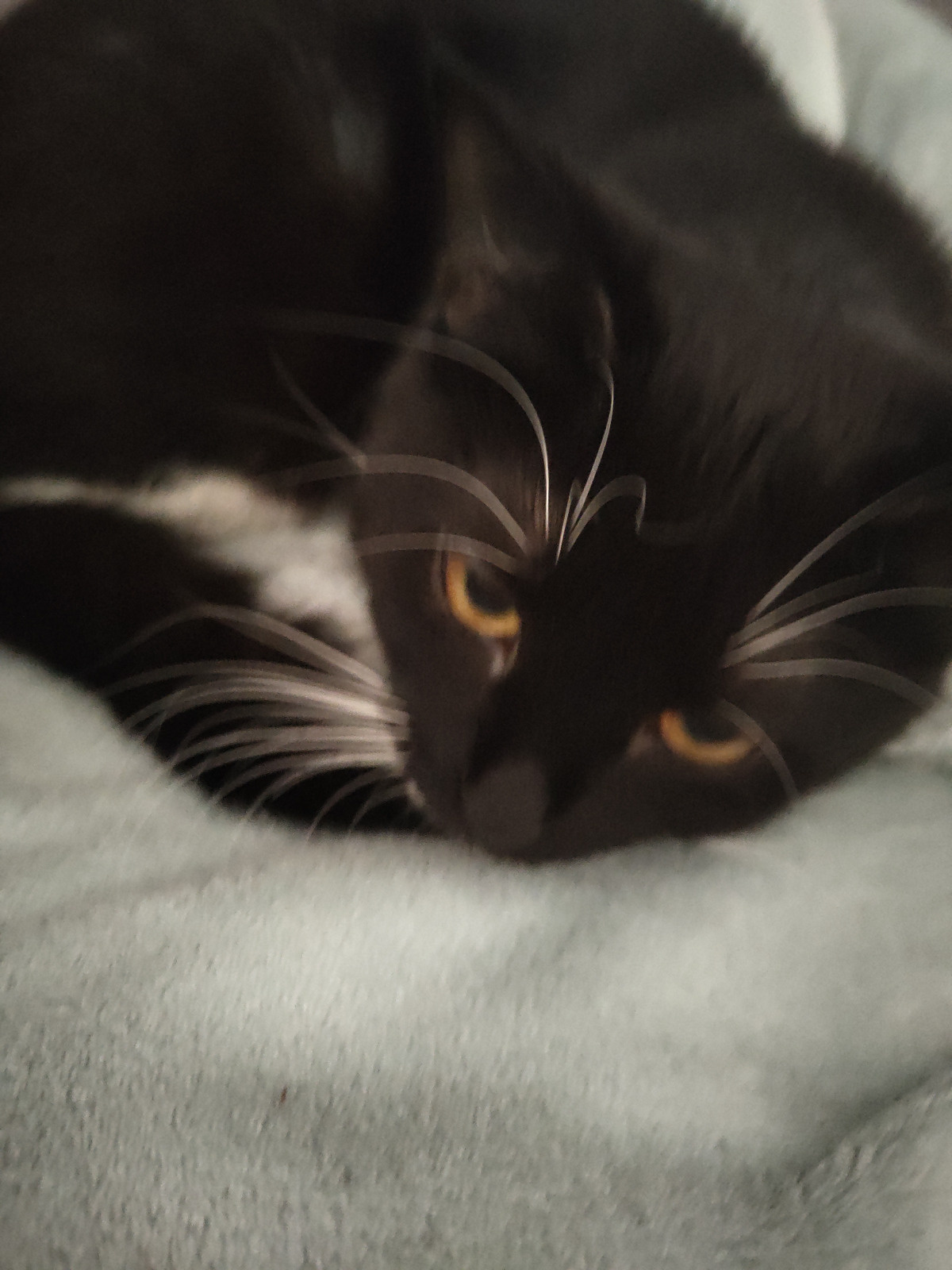 94b4b011-db59-4c05-aea2-ee9904d3f405