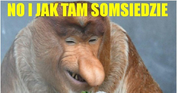 487f427b-b56f-4a6f-b3b8-51d4b77b7227