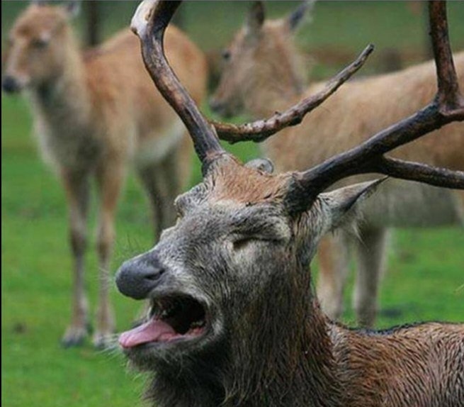 a30d8021-932f-4833-b6c8-6b92129b489a