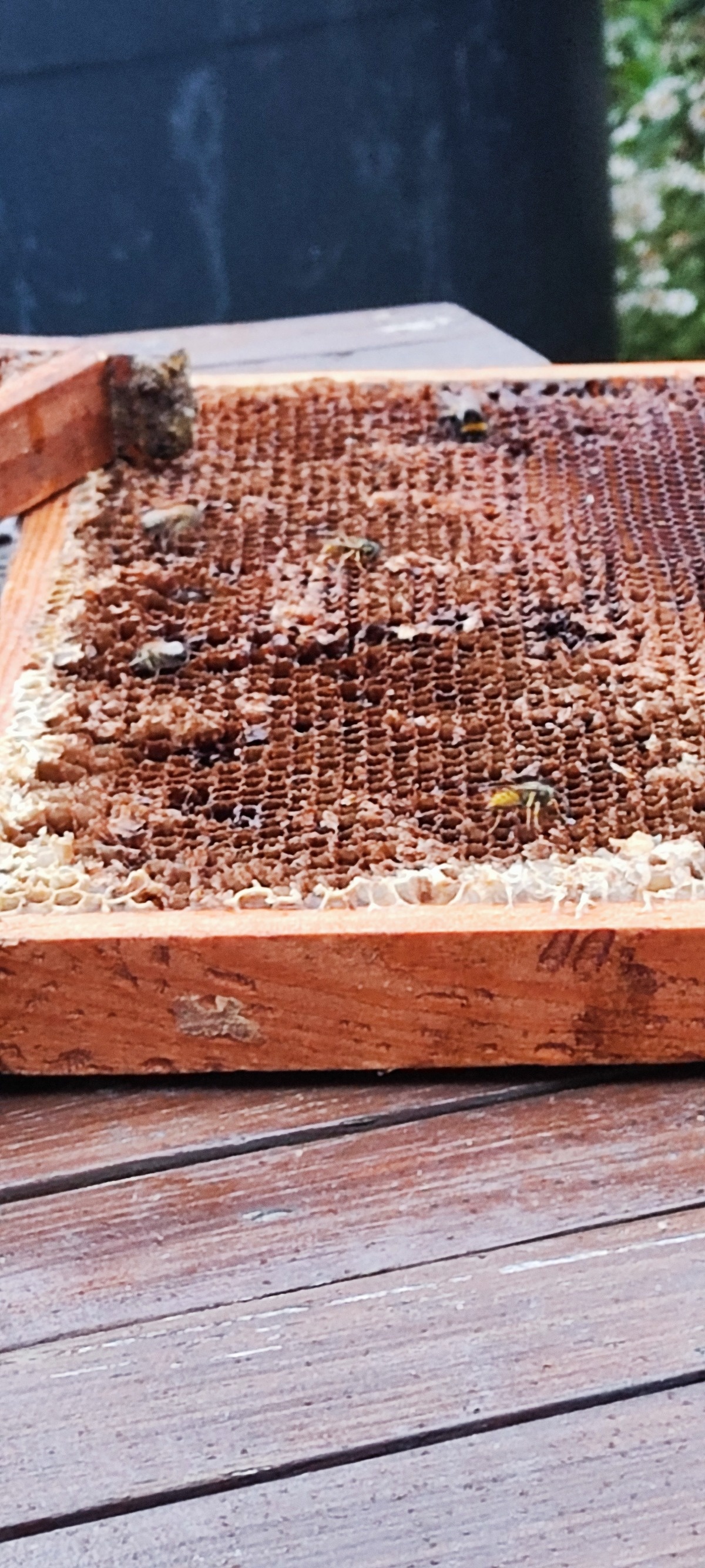 826dd37a-7320-49c1-986c-0fc12ce720d2