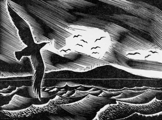 676672d6-b95d-4d0b-b29e-dee5880b549f