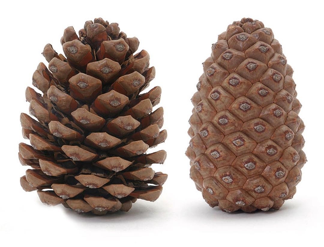 a2d360cb-9015-401a-9d4f-26333d6fb400