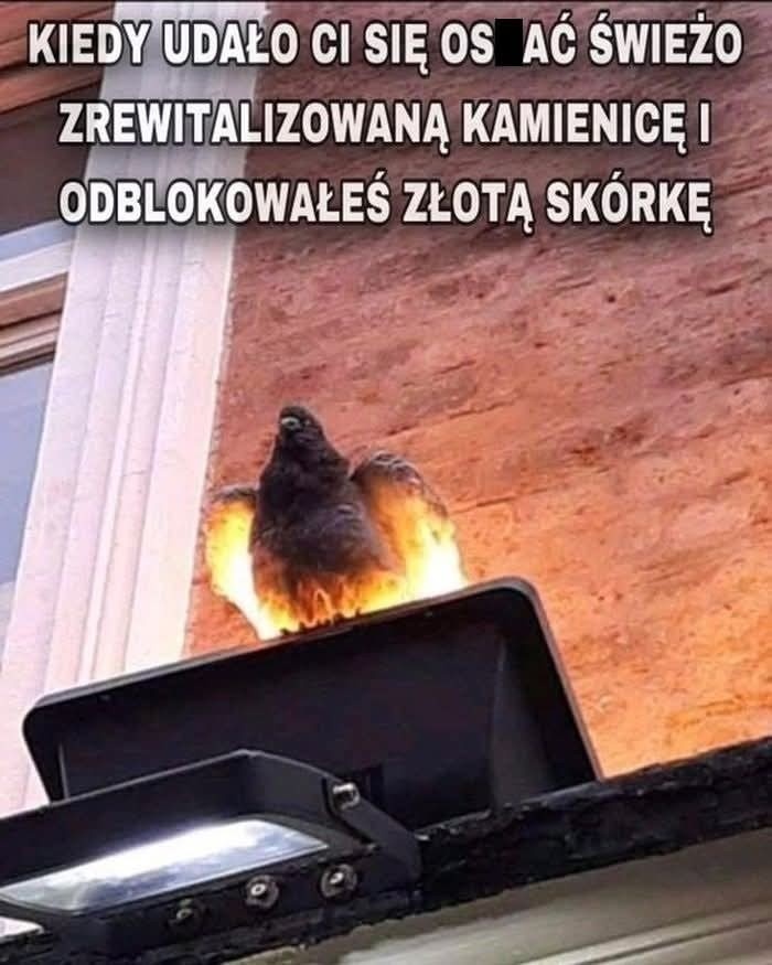 f8c29053-b497-47eb-b099-29f6a303ae7b