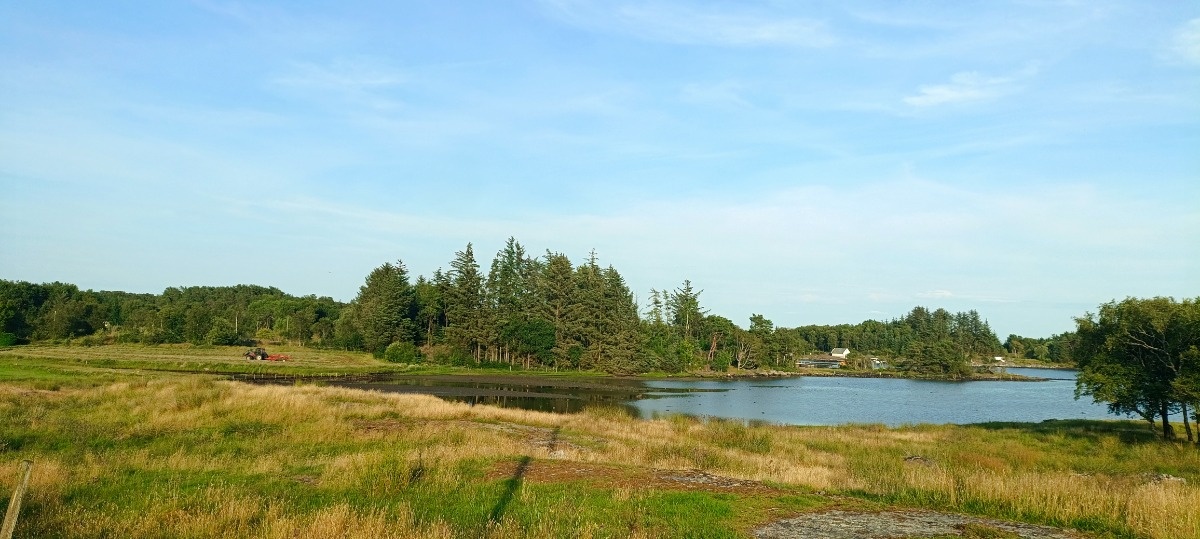 316042fe-9bab-4daa-aa0c-a8d2a45c1c0f