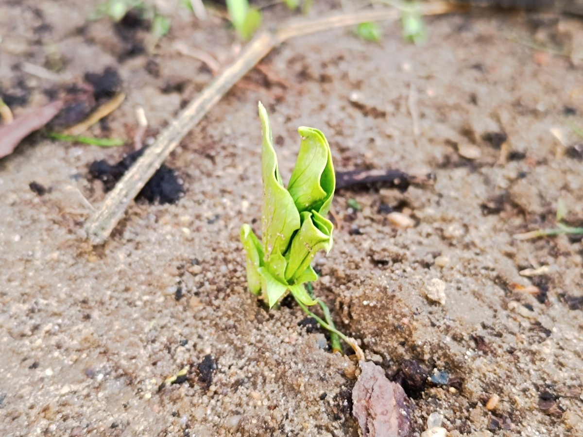 ea1d4dde-4389-479a-8dec-dee4b48c9833